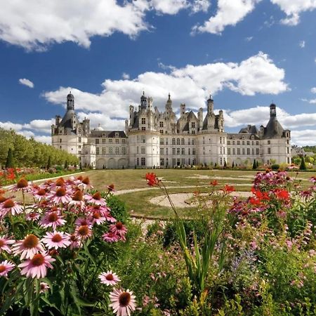 Au Coeur De Blois Apartment Ngoại thất bức ảnh