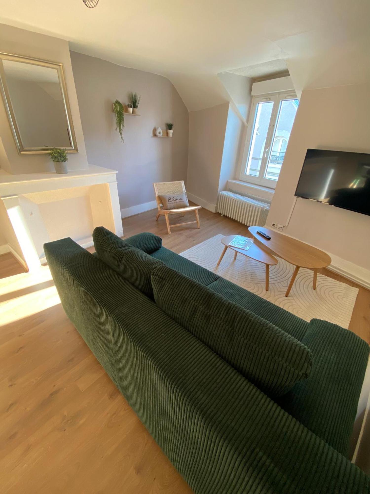 Au Coeur De Blois Apartment Ngoại thất bức ảnh