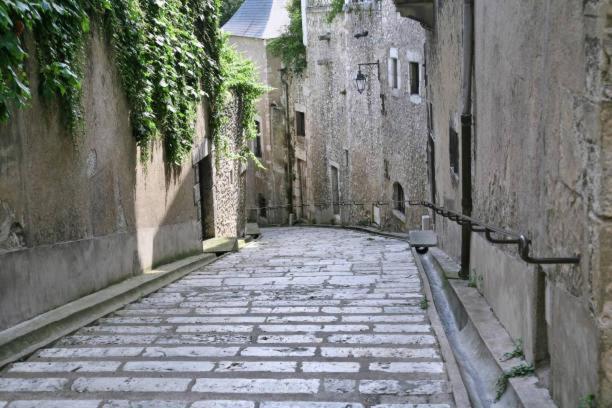 Au Coeur De Blois Apartment Ngoại thất bức ảnh