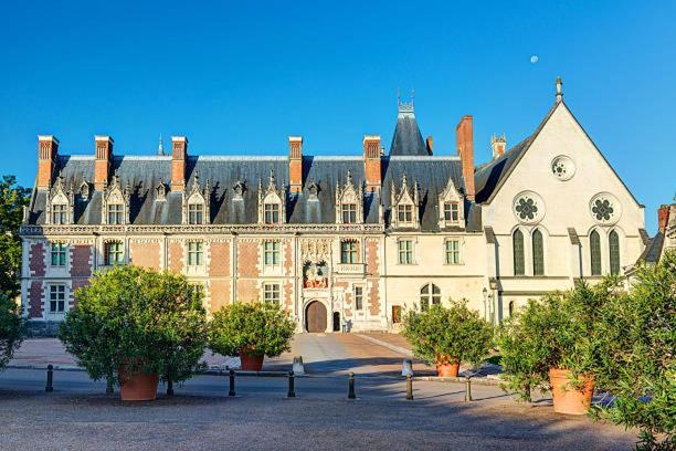 Au Coeur De Blois Apartment Ngoại thất bức ảnh