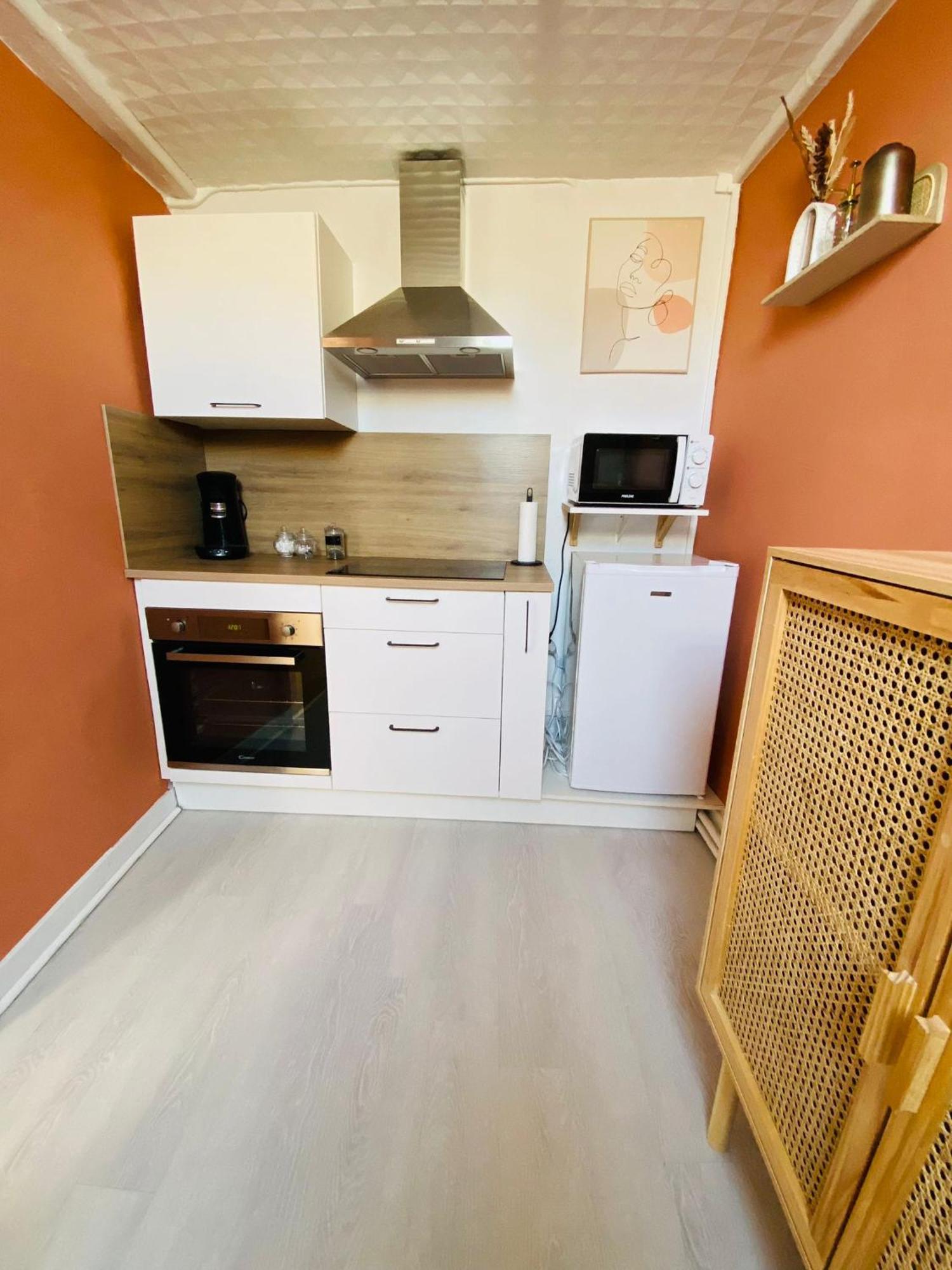 Au Coeur De Blois Apartment Ngoại thất bức ảnh